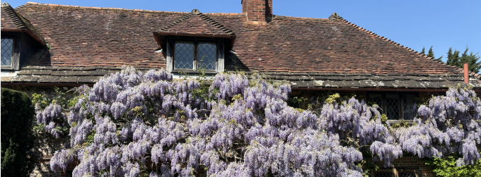 Liz’s Diary May 2025: Marvellous May