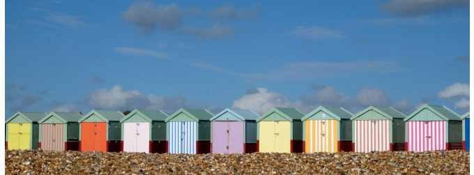 Liz’s Diary June 2025: Welcome to the beautiful month of June